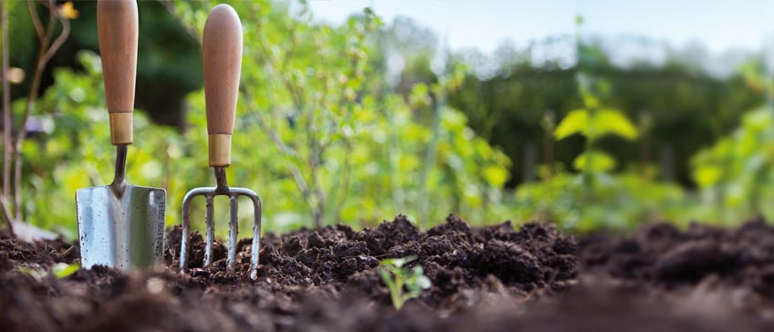 Agricultura sostenible campo