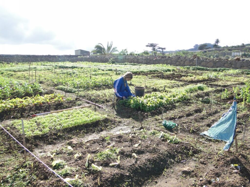 Mujer agricultora en el campo