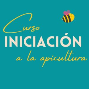 Curso de Iniciación. Modalidad Presencial