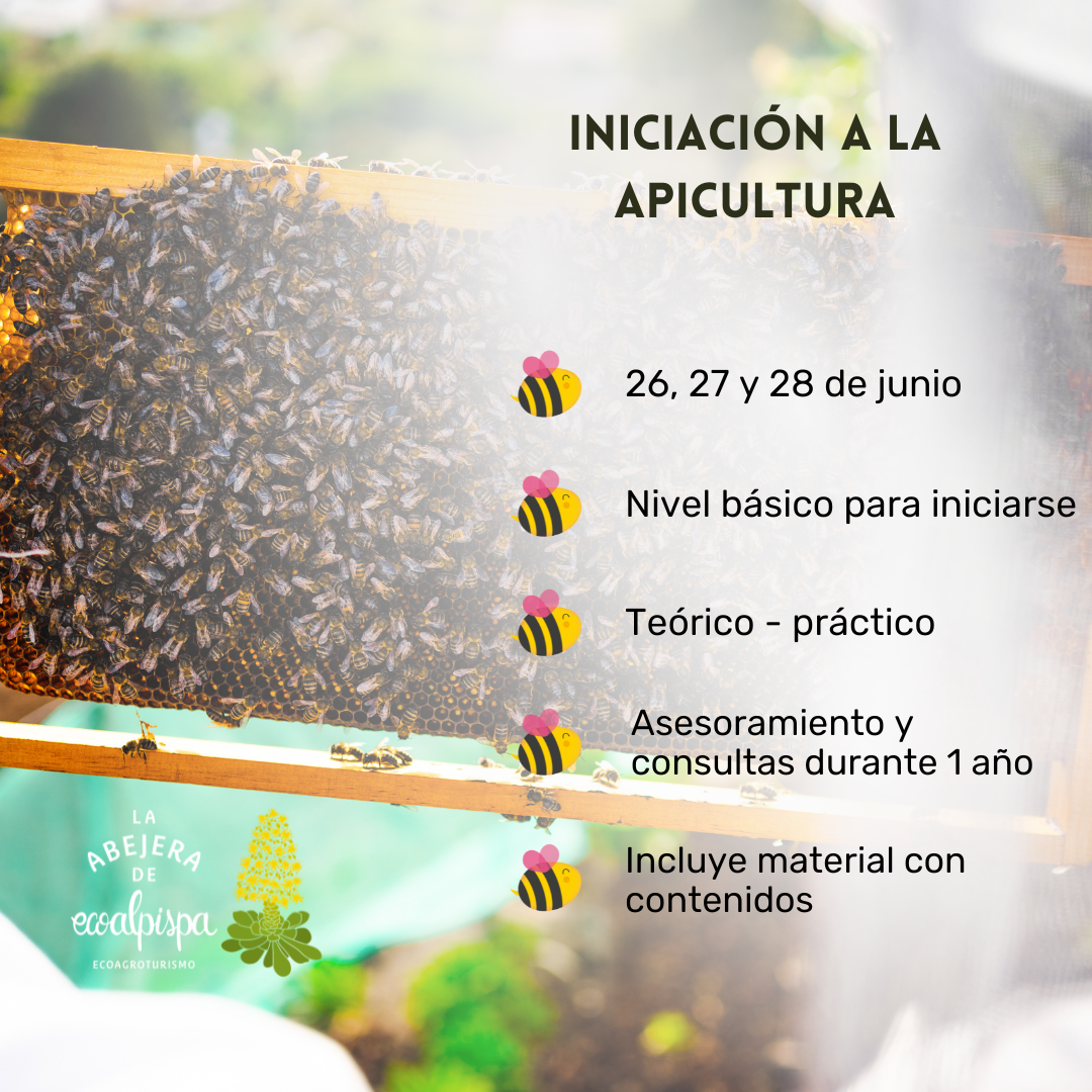 curso apicultura