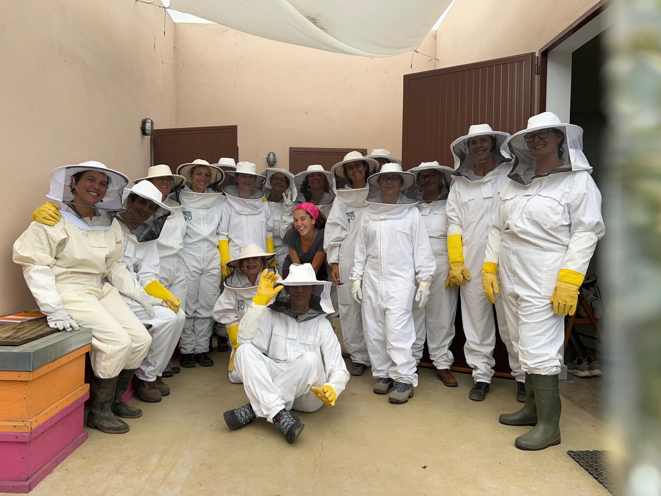Curso apicultura canarias