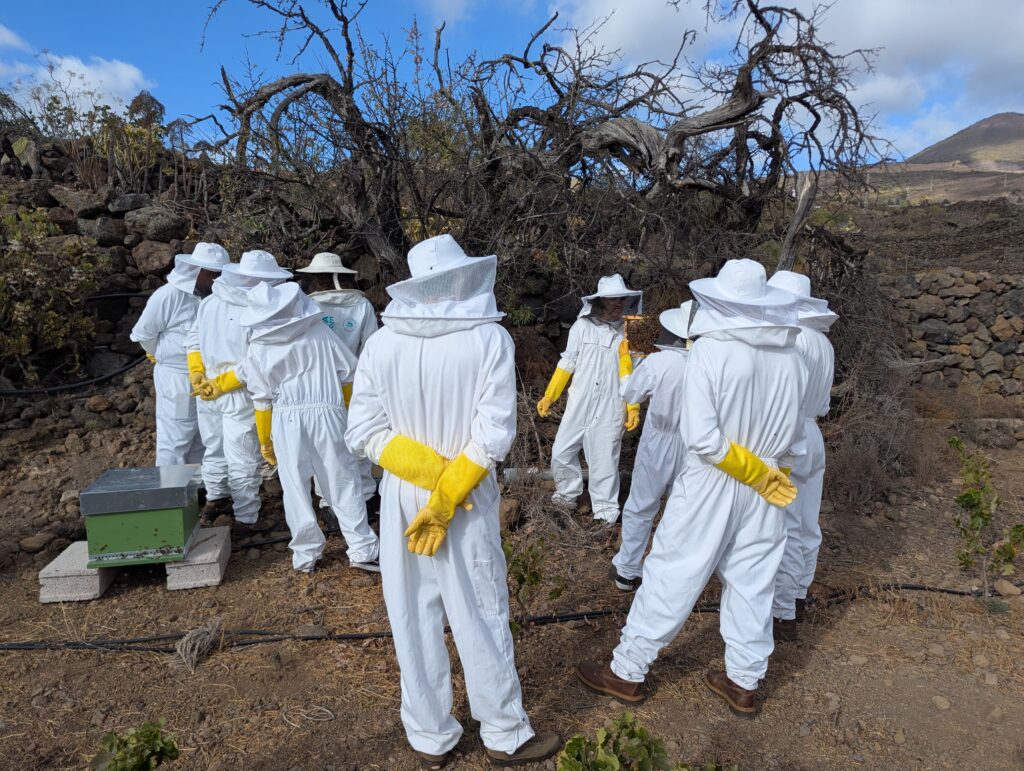 curso apicultura