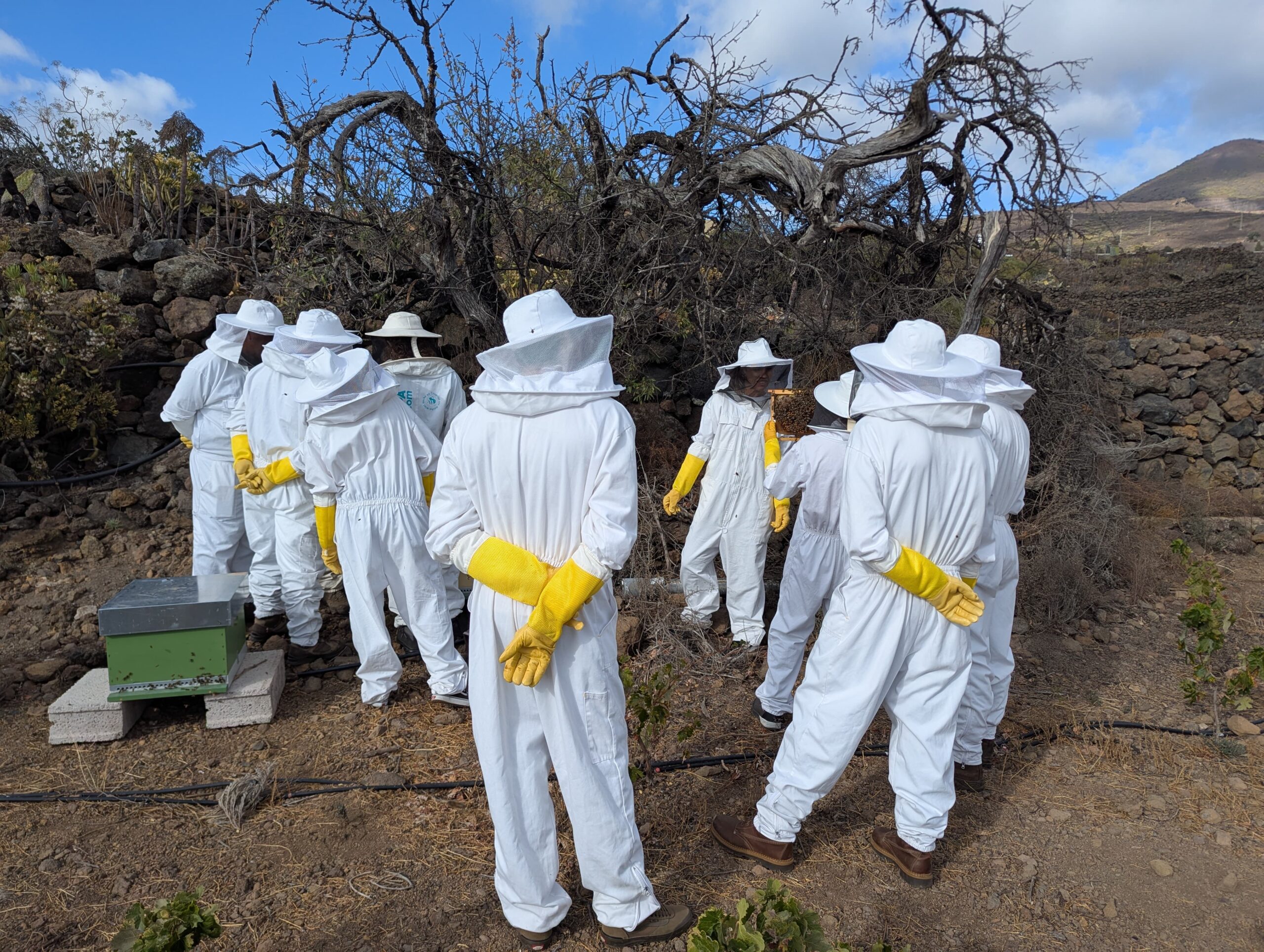 curso apicultura