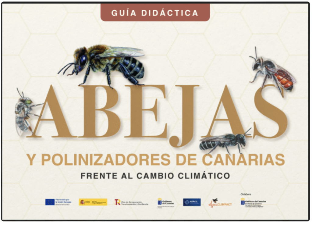 guía didáctica abejas