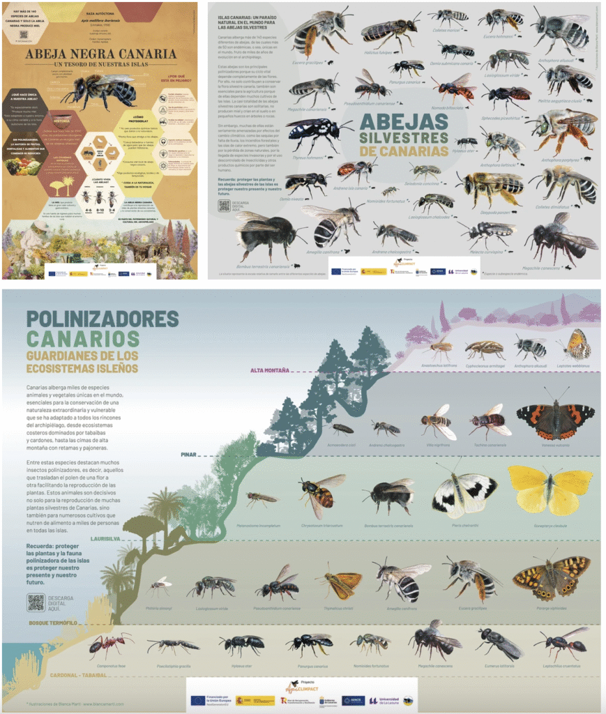 posters abejas