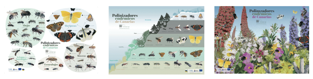 póster polinizadores